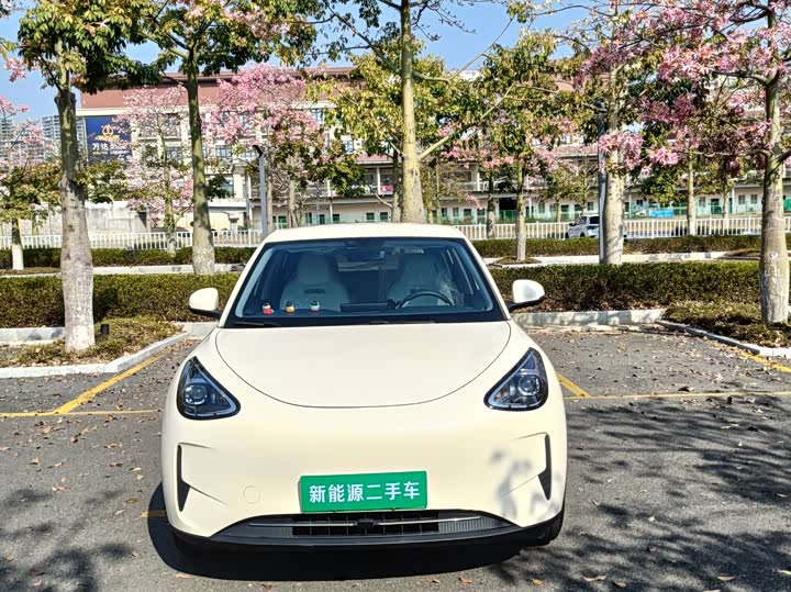 Фото 2 - Geely Galaxy Geome