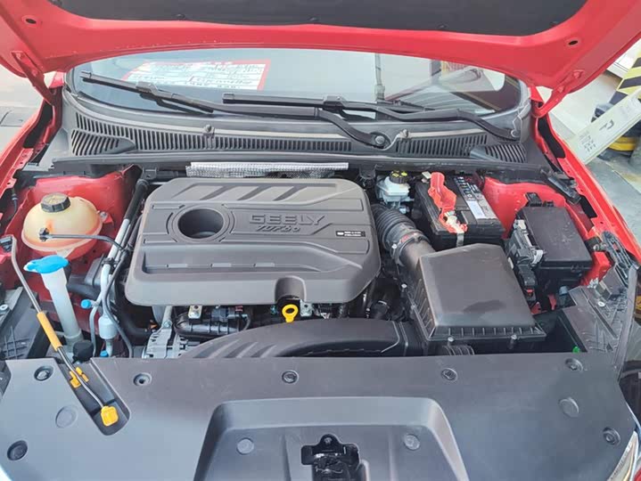 Фото 10 - Geely Binrui