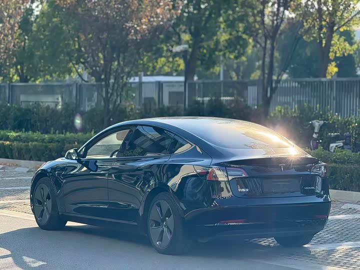 Фото 4 - Tesla Model 3