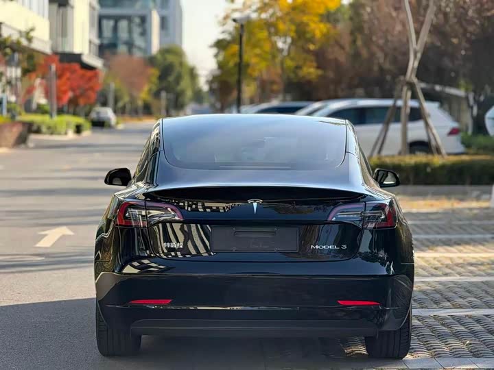 Фото 5 - Tesla Model 3