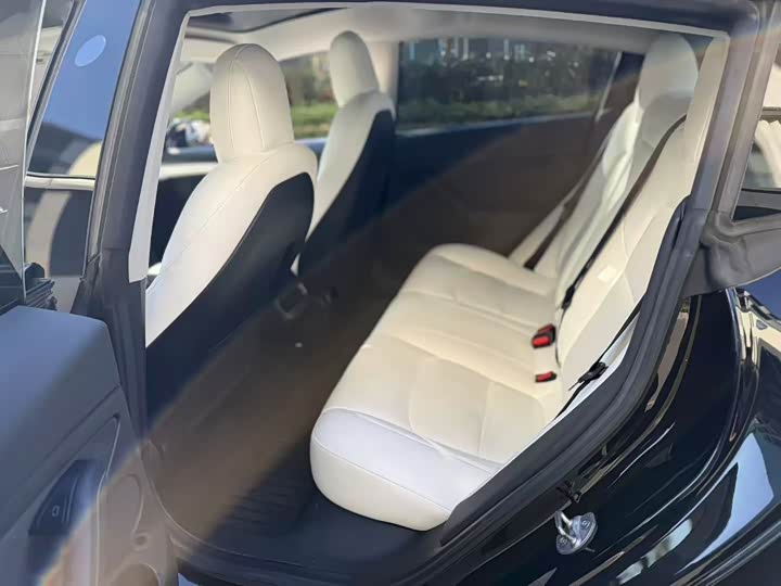 Фото 8 - Tesla Model 3