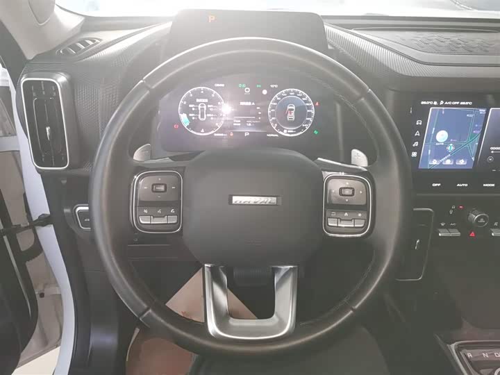 Фото 11 - Haval Dargo