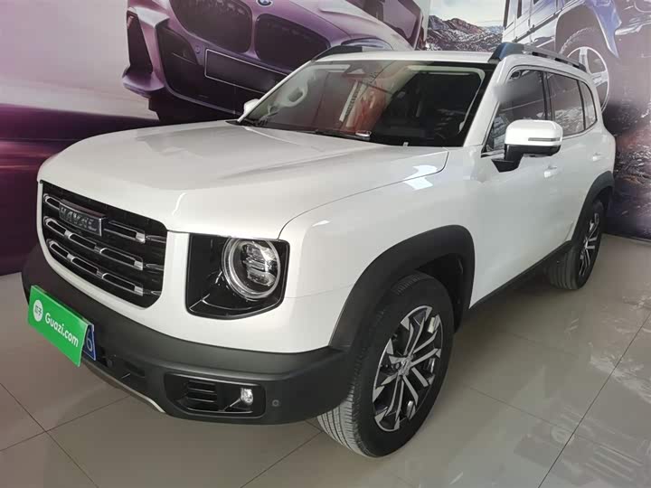 Фото 2 - Haval Dargo