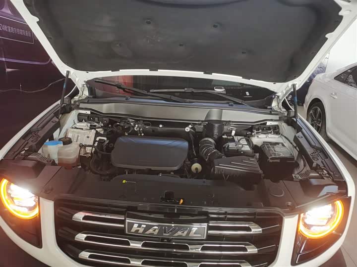 Фото 20 - Haval Dargo