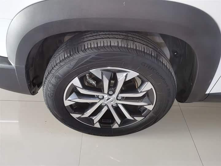 Фото 23 - Haval Dargo