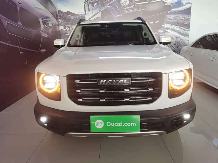 Фото 3 - Haval Dargo