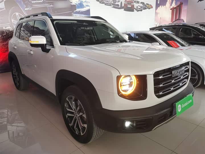 Фото 4 - Haval Dargo