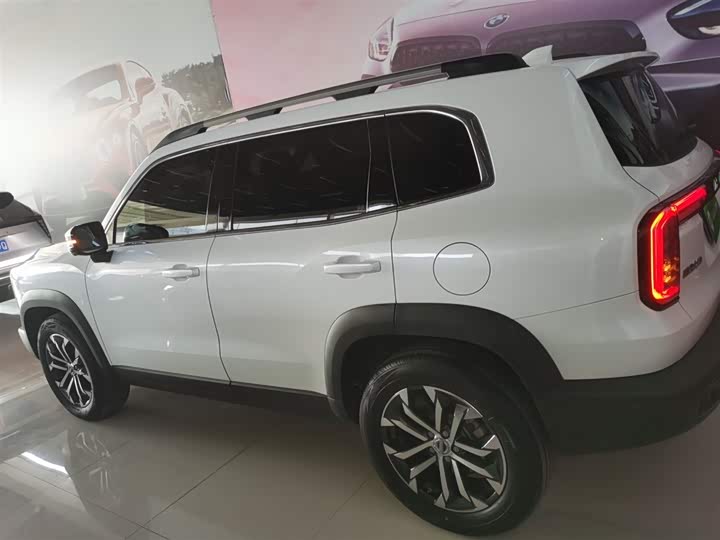 Фото 5 - Haval Dargo