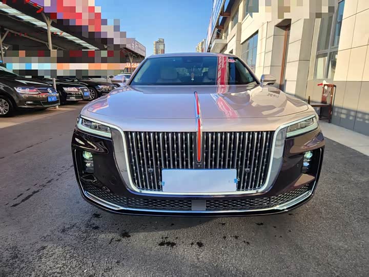 Фото 2 - Hongqi H9