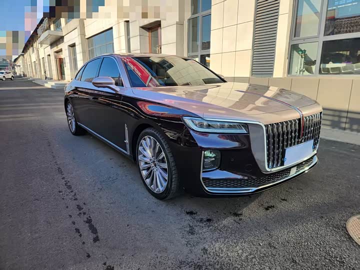 Фото 3 - Hongqi H9