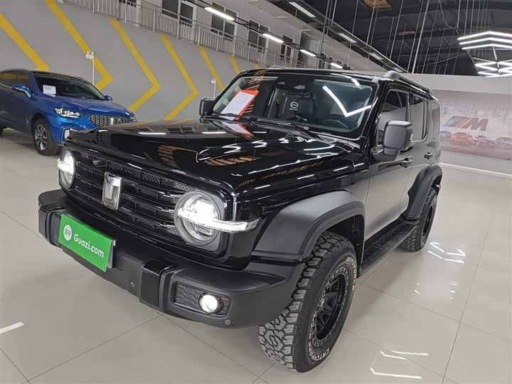 Фото 2 - Tank 300