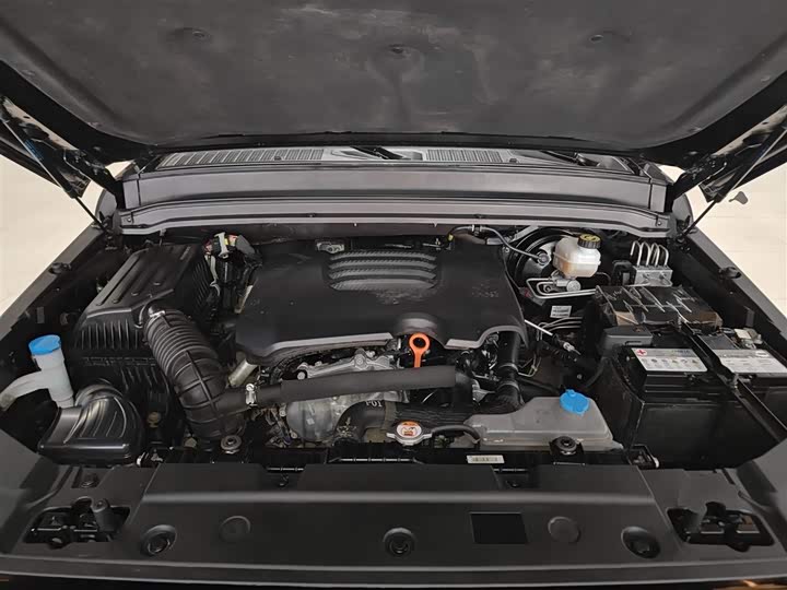 Фото 20 - Tank 300