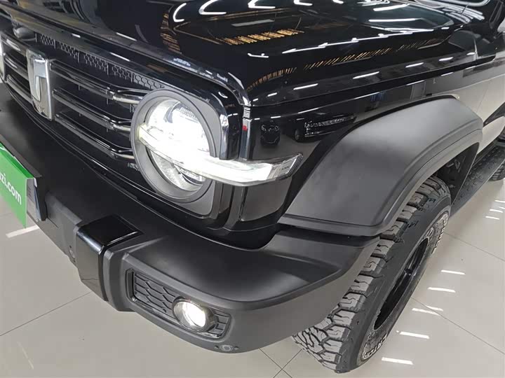 Фото 24 - Tank 300