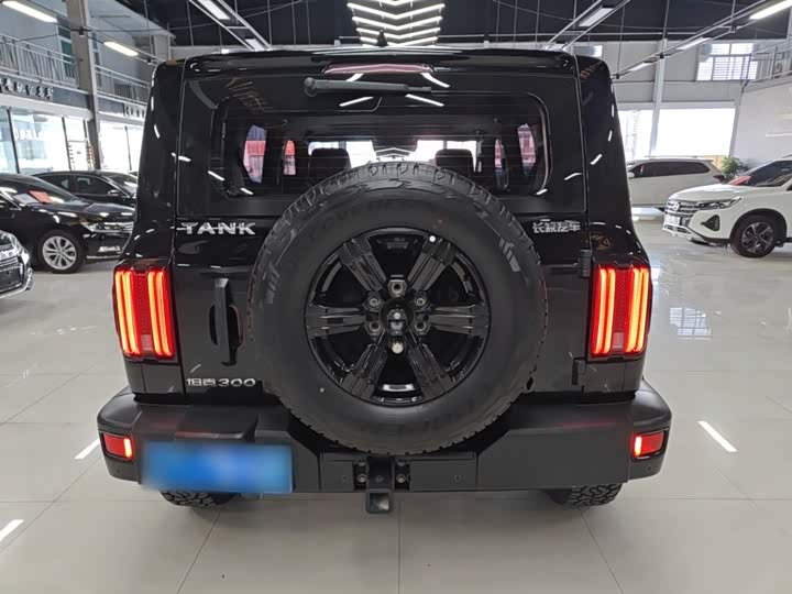 Фото 6 - Tank 300