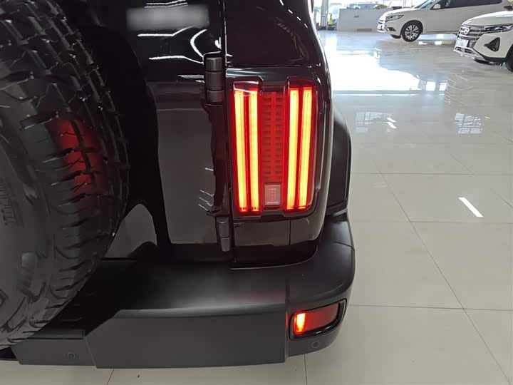 Фото 8 - Tank 300