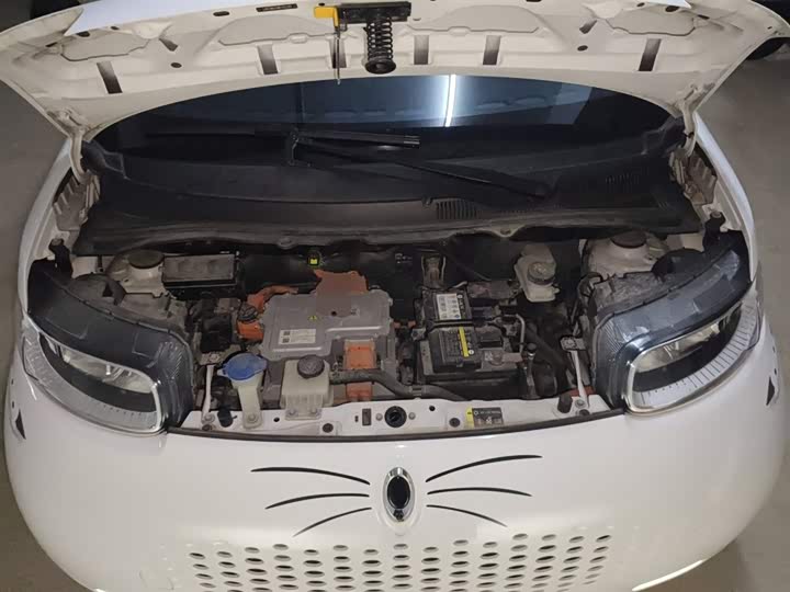 Фото 11 - Ora White Cat