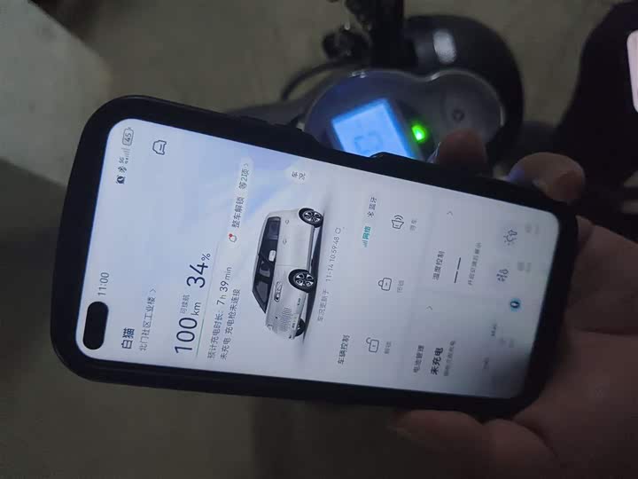 Фото 12 - Ora White Cat