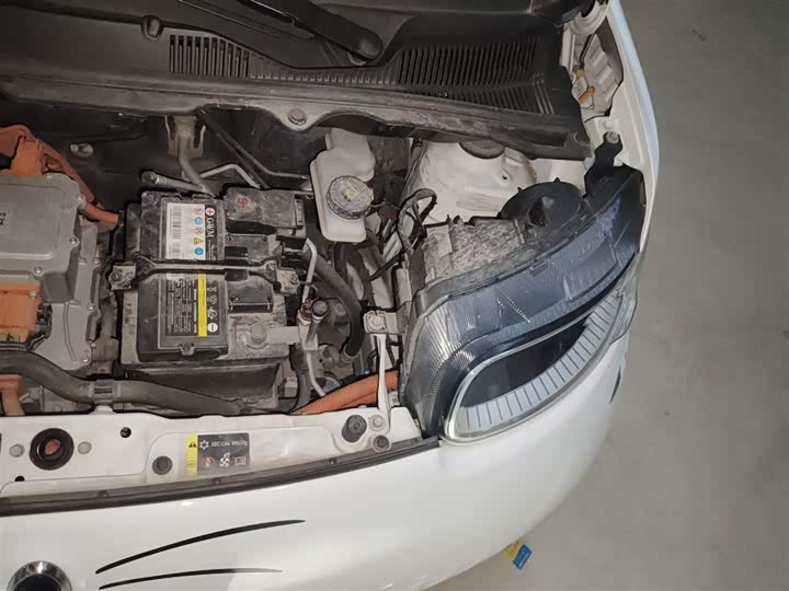 Фото 22 - Ora White Cat