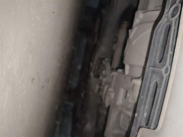 Фото 23 - Ora White Cat