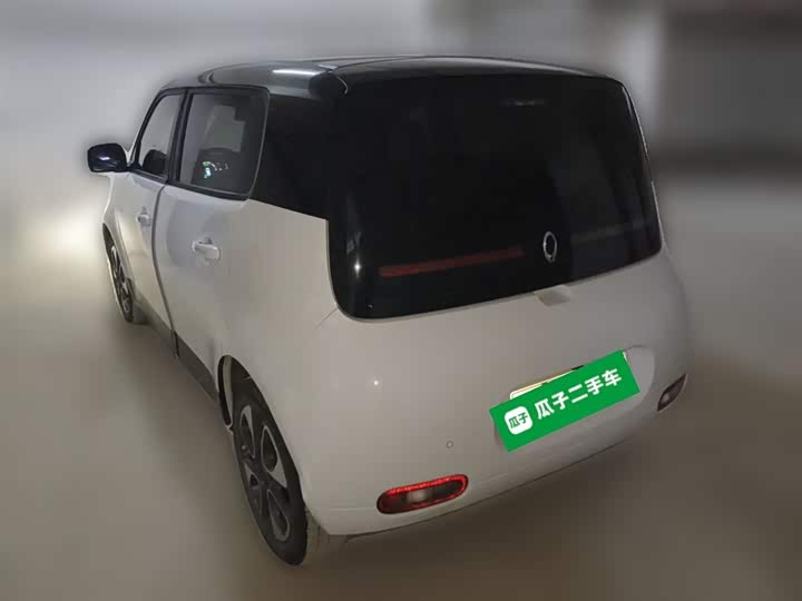 Фото 27 - Ora White Cat