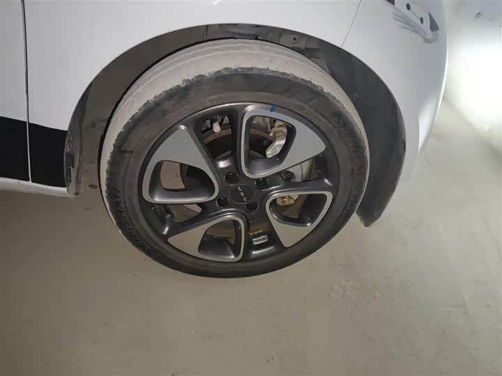 Фото 31 - Ora White Cat