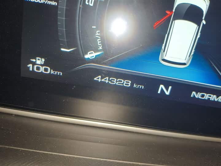 Фото 5 - Ora White Cat