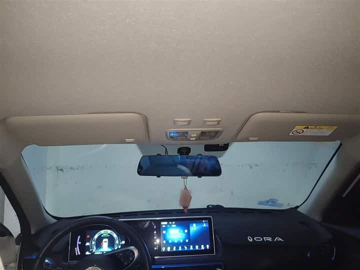 Фото 9 - Ora White Cat