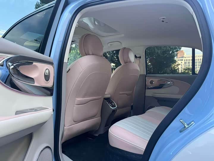 Фото 6 - Ora Ballet Cat