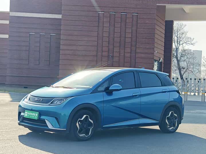 Фото 1 - BYD Dolphin