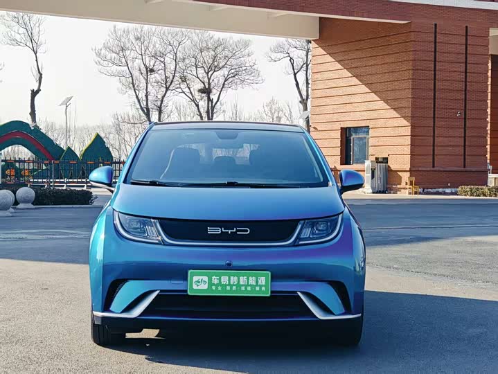 Фото 2 - BYD Dolphin