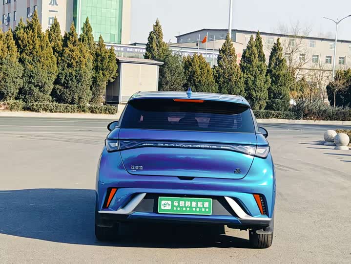 Фото 4 - BYD Dolphin