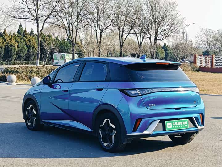 Фото 6 - BYD Dolphin