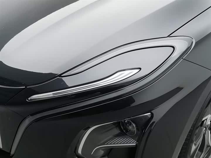 Фото 7 - Hongqi E-QM5