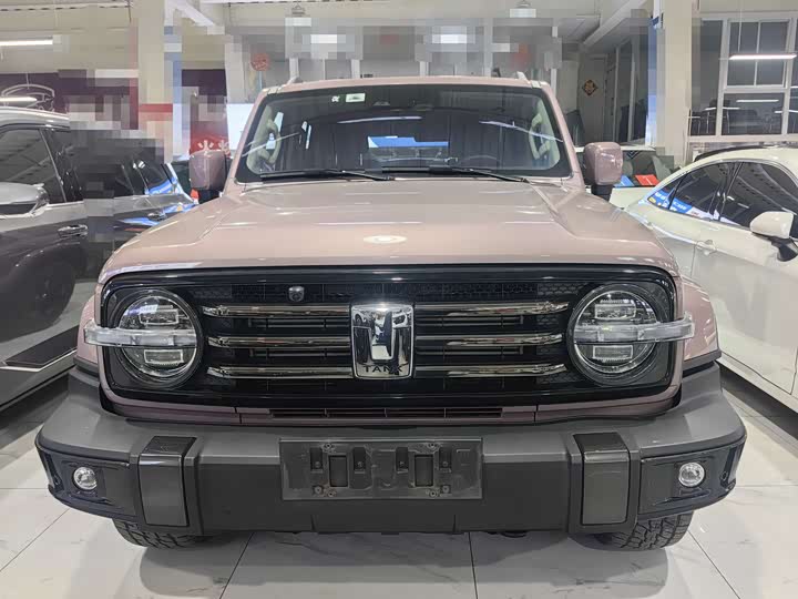 Фото 2 - Tank 300