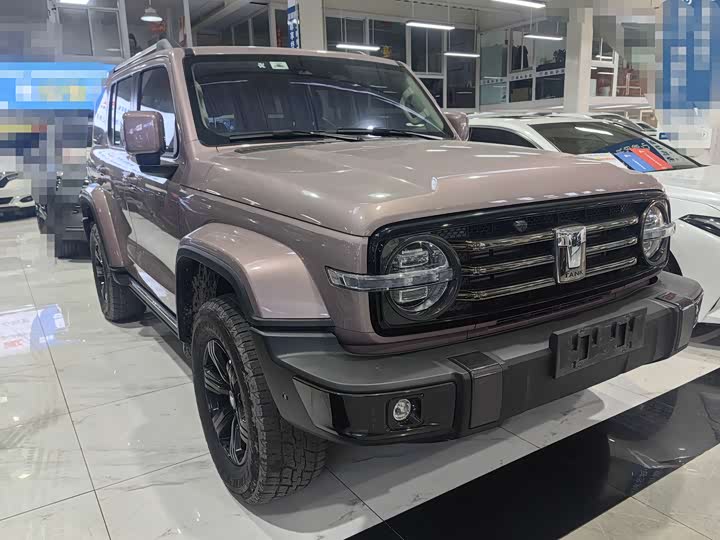 Фото 4 - Tank 300