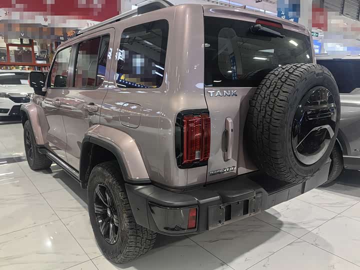 Фото 8 - Tank 300