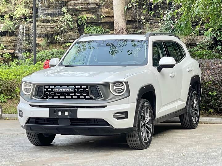 Фото 1 - Haval H-Dog