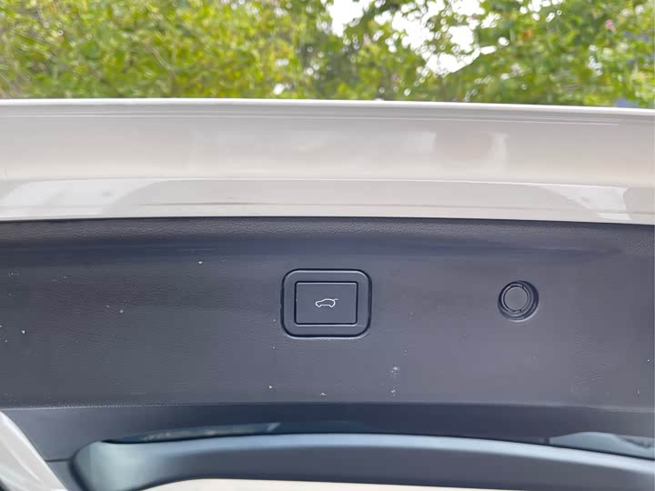 Фото 20 - Haval H-Dog