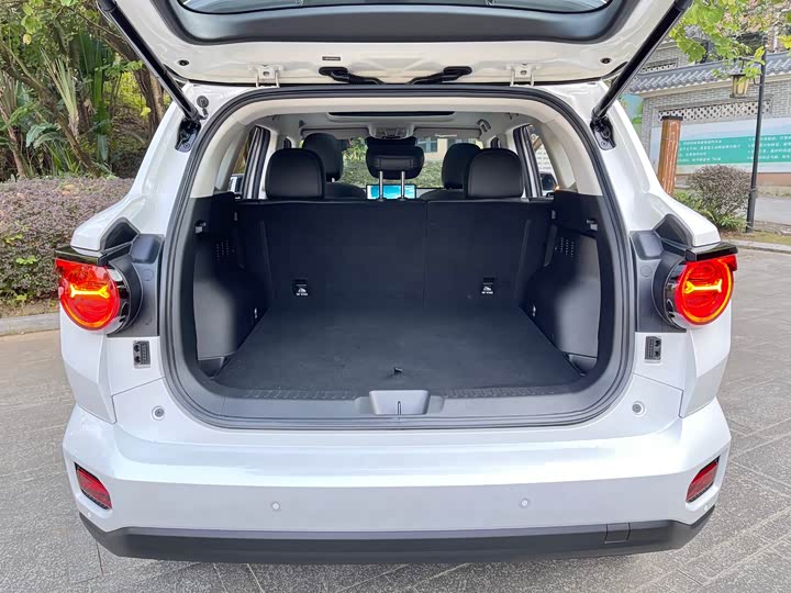 Фото 21 - Haval H-Dog