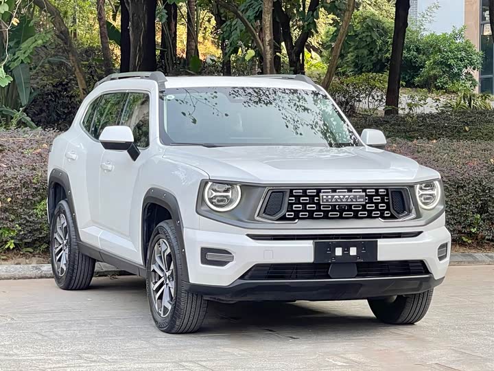 Фото 3 - Haval H-Dog