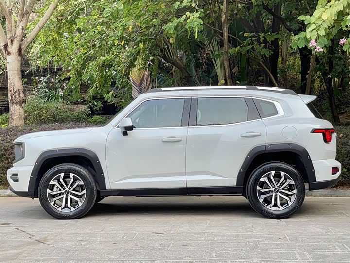 Фото 4 - Haval H-Dog