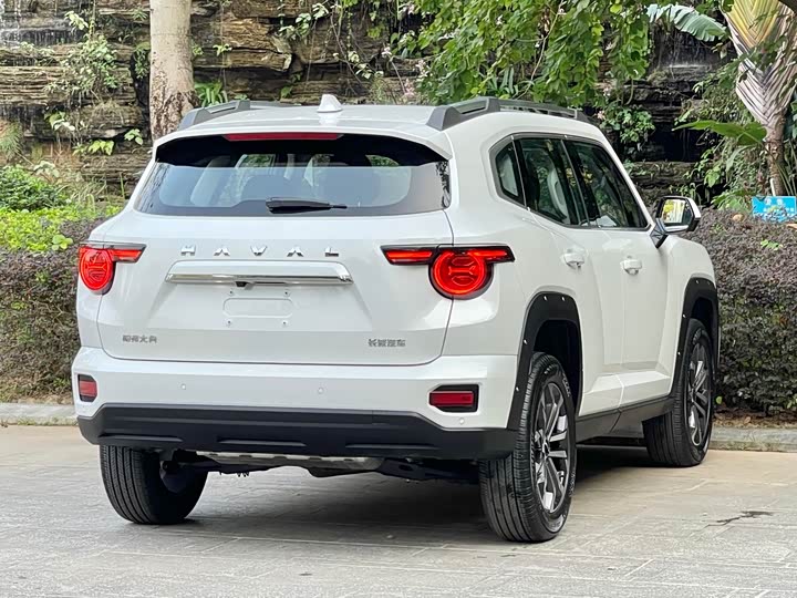 Фото 5 - Haval H-Dog