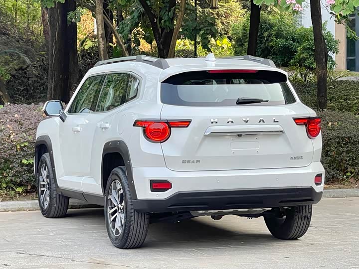 Фото 7 - Haval H-Dog