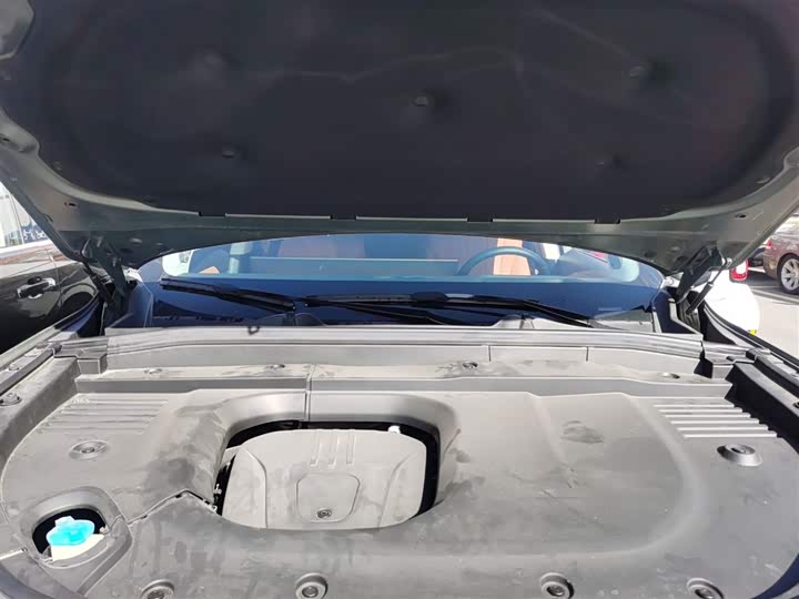 Фото 20 - Wey Lanshan