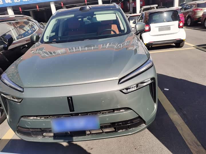 Фото 3 - Wey Lanshan