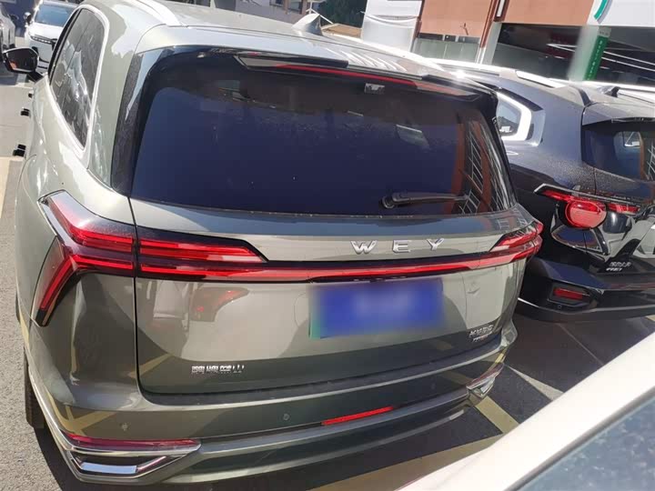 Фото 6 - Wey Lanshan