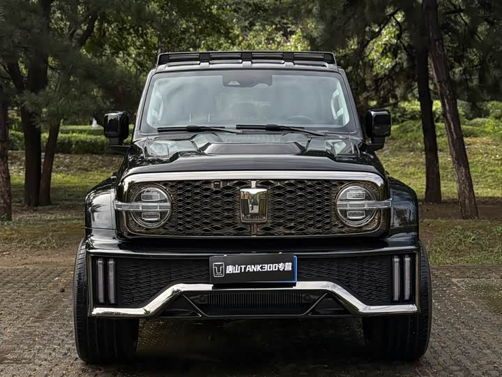 Фото 1 - Tank 300