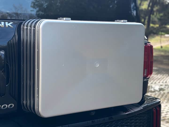 Фото 11 - Tank 300