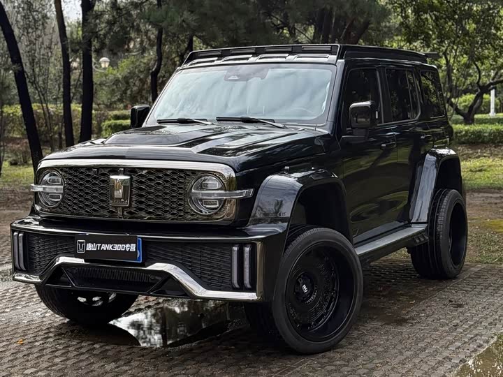 Фото 2 - Tank 300