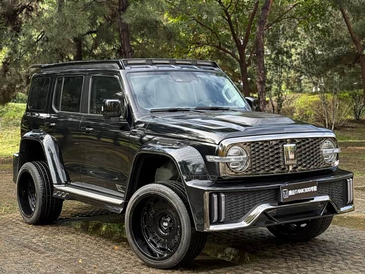 Фото 5 - Tank 300